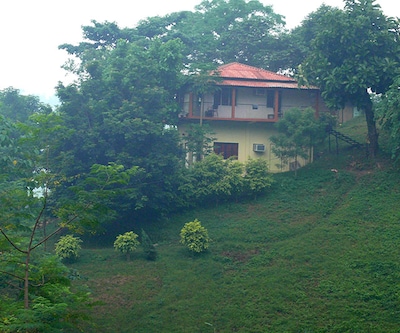 Brahmaputra Jungle Resort